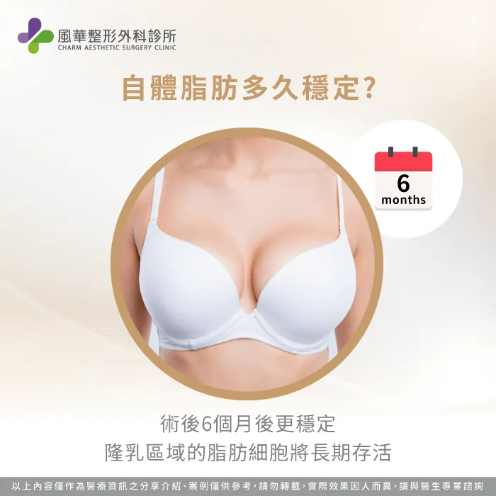 術後6個月後脂肪細胞進入穩定期-自體脂肪隆乳維持多久